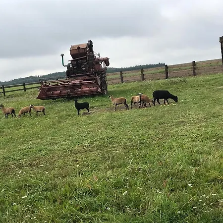 샬레 Lesny Zakatek Uroczysko *