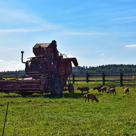 Lesny Zakatek Uroczysko 샬레 Rychtal