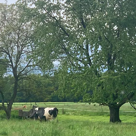 Lesny Zakatek Uroczysko 샬레 Rychtal