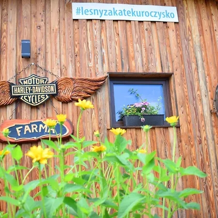 Chalet Lesny Zakatek Uroczysko - Z Balia *