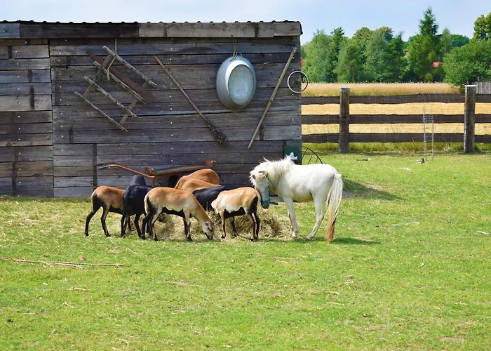 Alpesi faház Lesny Zakatek Uroczysko - Z Balia Rychtal