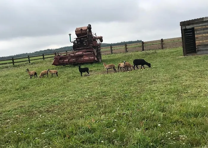 Alpesi faház Lesny Zakatek Uroczysko - Z Balia *