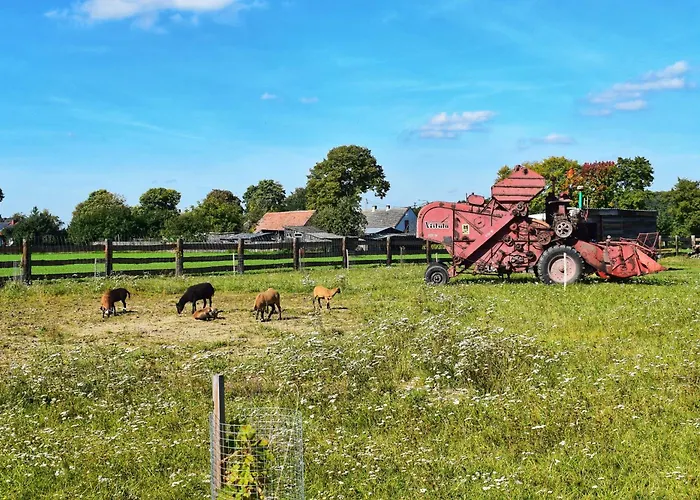 Alpesi faház Lesny Zakatek Uroczysko - Z Balia *