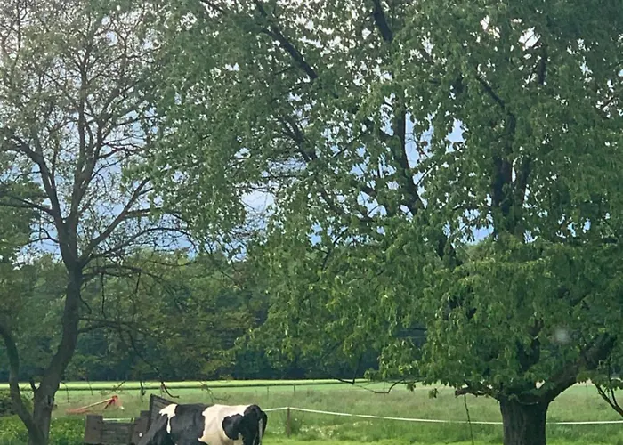 Lesny Zakatek Uroczysko - Z Balia Alpesi faház Rychtal